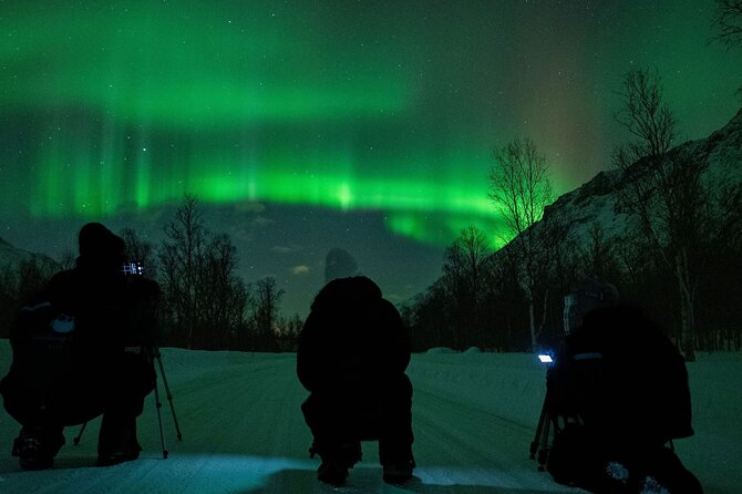 Tromsø: Express Aurora Hunt with Wandering Owl - Starting at the Scandic Ishavshotel