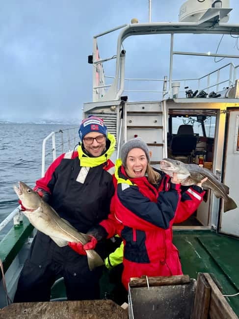 Tromsø: Fishing Sea Safari - Key points to know before you book