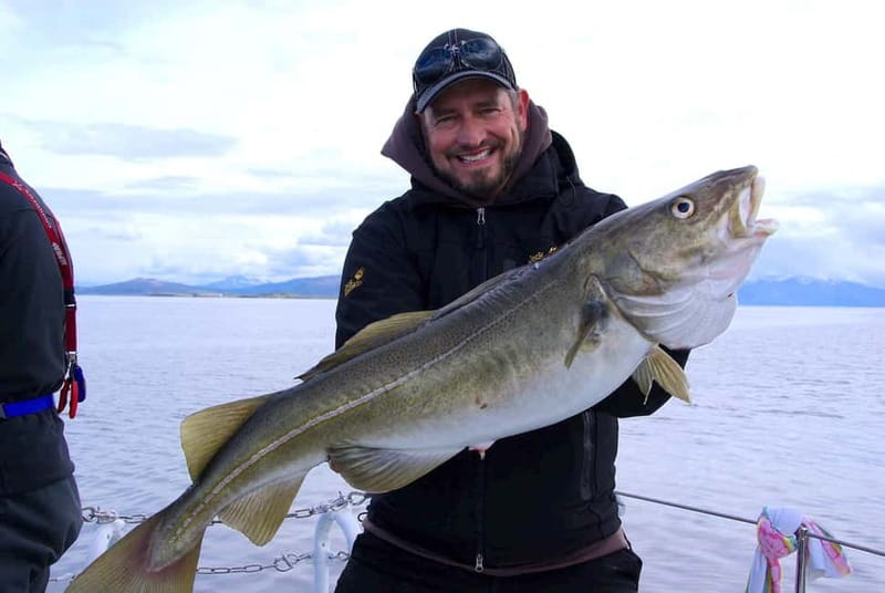 Tromsø: Fishing Sea Safari - The fish soup lunch onboard
