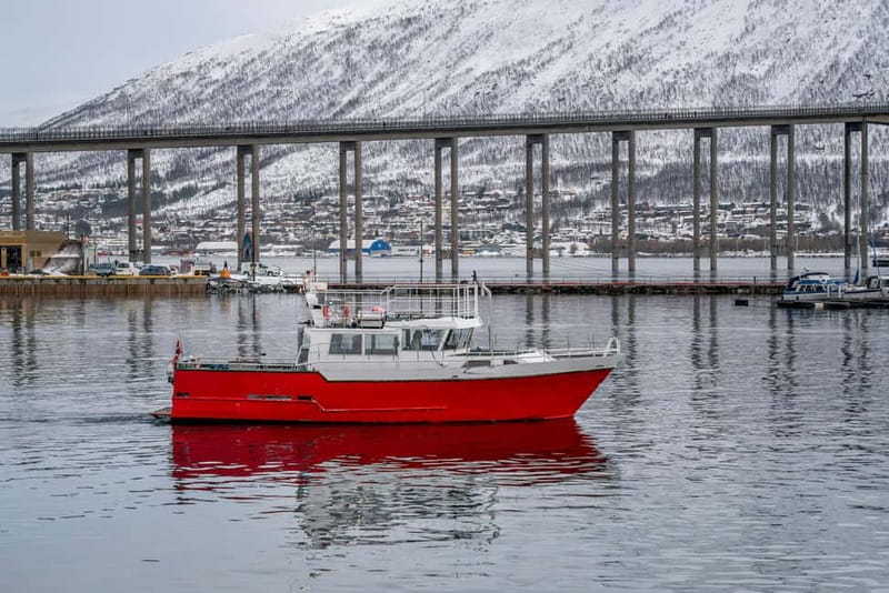 Tromsø: Fishing Sea Safari - Leaving Killengreens gate 7-11