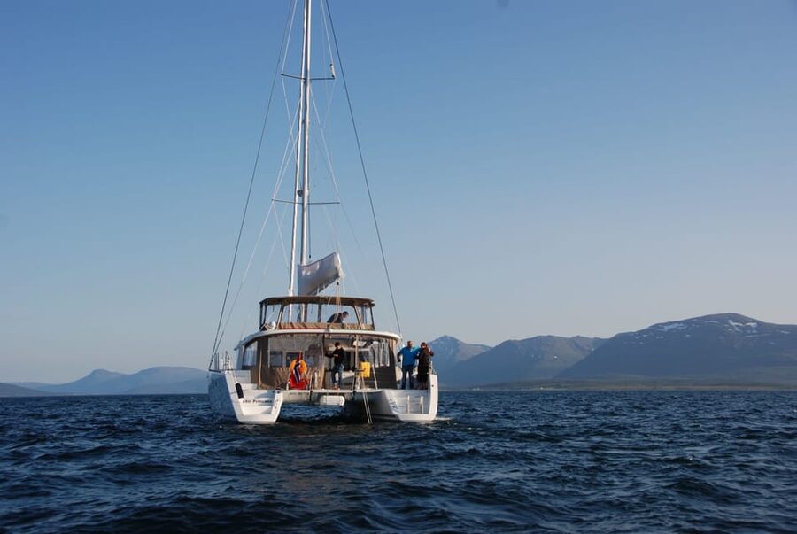 Tromsø: Fjord and Islands Luxury Catamaran Cruise - Who will enjoy this cruise most?