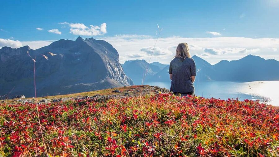 Tromso: Fjord Arctic Adventure Expedition - Why this Tromsø fjord trip works