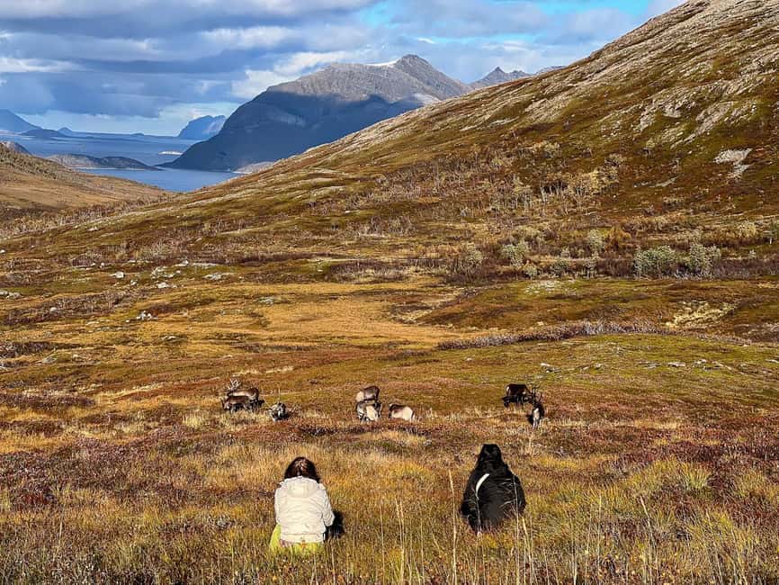 Tromso: Fjord Arctic Adventure Expedition - Wildlife is possible, not promised