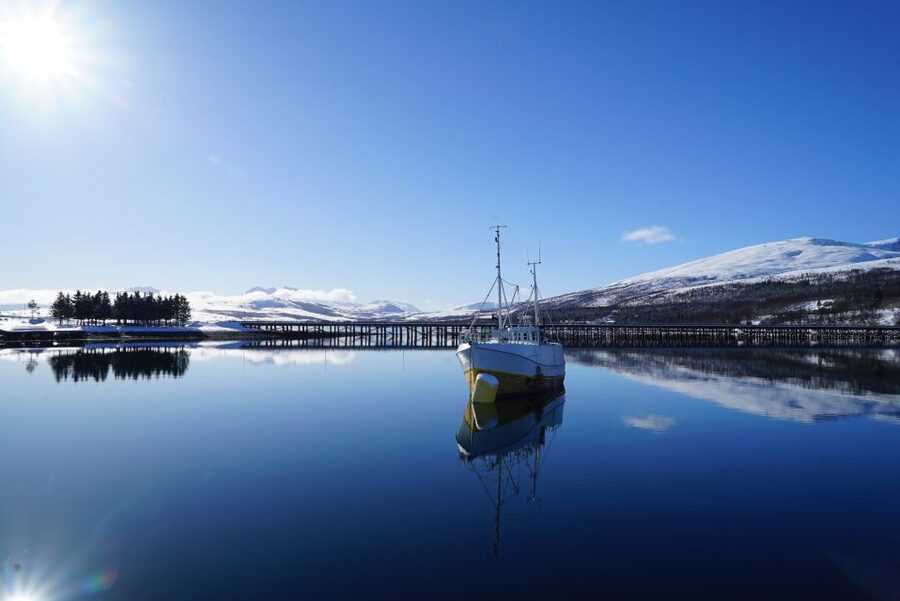 Tromsø: Fjord Cruise by Luxury Yacht - Past Grindøya and across Tromsø’s open water