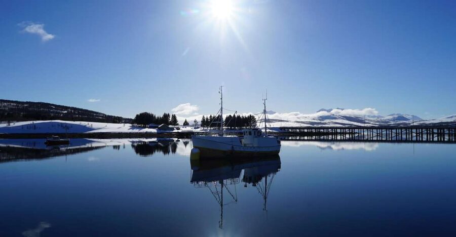 Tromsø: Fjord Cruise by Luxury Yacht - Fishing, steering, and a hands-on hour at sea
