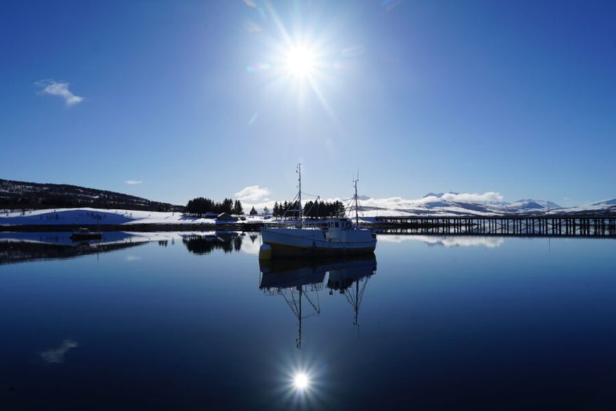 Tromsø: Fjord Cruise by Luxury Yacht - Fish soup on the return to Tromsø