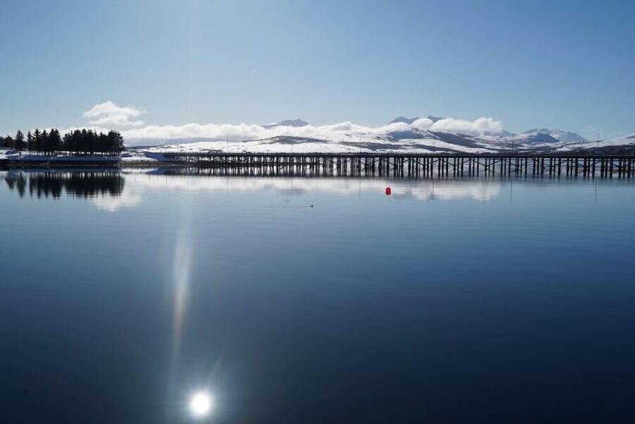 Tromsø: Fjord Cruise by Luxury Yacht - Finding the Arctic Queen beside Scandic Ishavshotel
