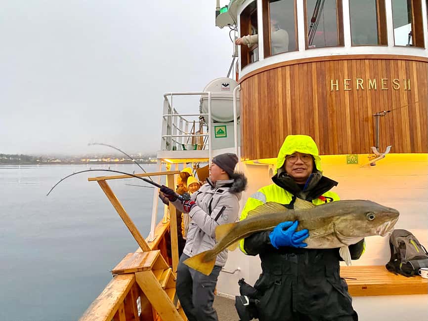 Tromsø: Fjord Fishing Cruise - Key points to know before you book