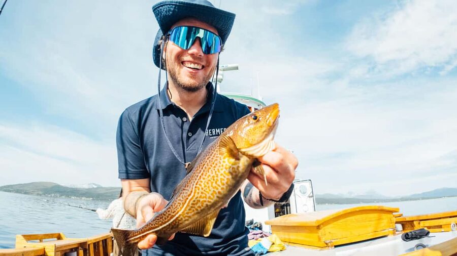 Tromsø: Fjord Fishing Cruise - What happens when you catch a fish