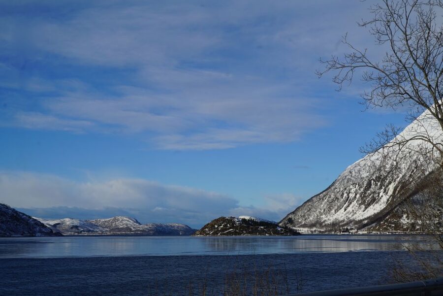 Tromsø: Fjord Sightseeing in a Tesla X Luxury Electric Car - Who will enjoy this fjord drive most