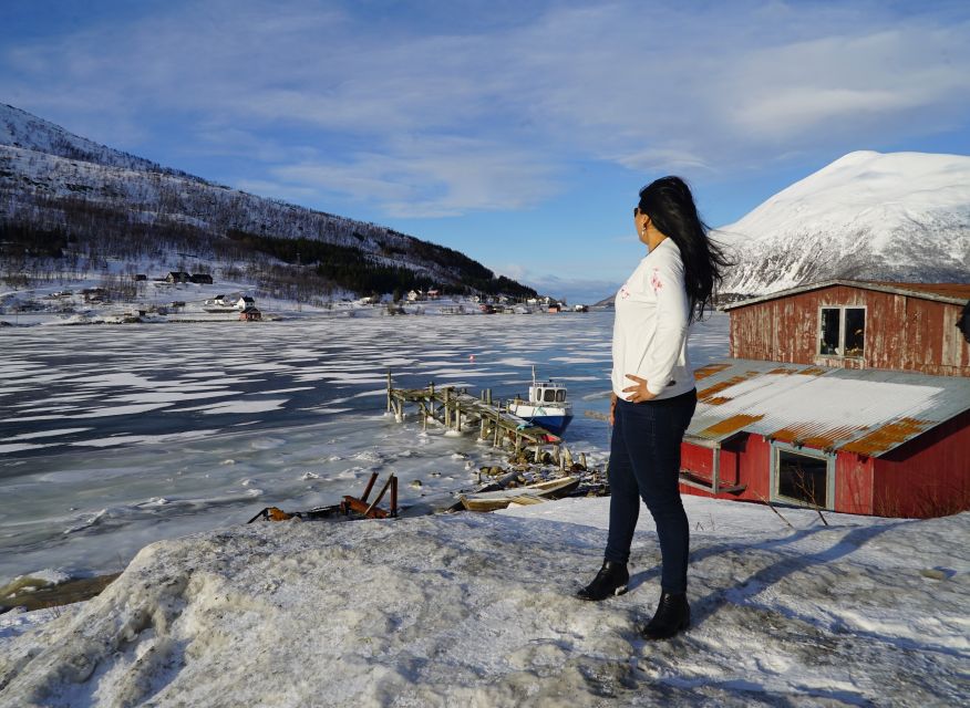 Tromsø: Fjord Sightseeing in a Tesla X Luxury Electric Car - Should you book the Kvaløya fjord tour?