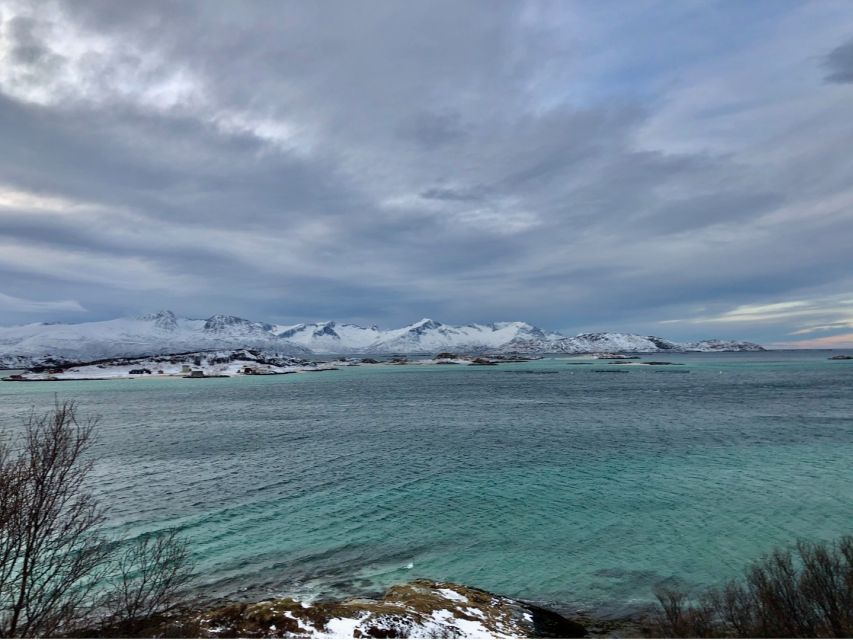 Tromsø: Fjords and Sommarøy Islands Tour with Salmon Picnic - Key points to know before booking