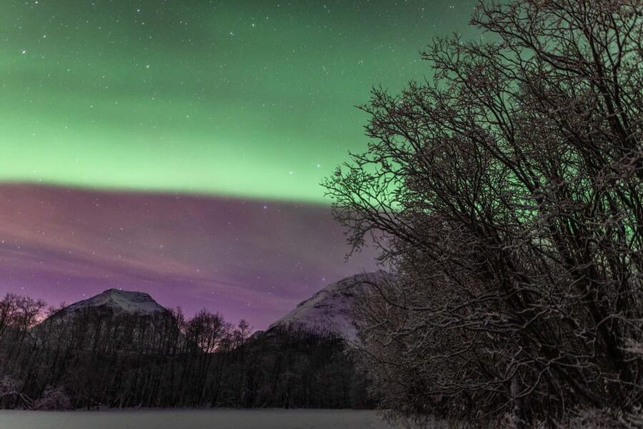 Tromsø: Fjords & Beaches Tour with Campfire and Arctic Food - Practical details that can save you trouble