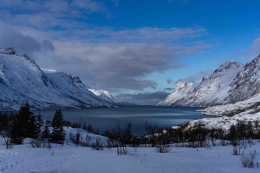 Tromsø: Fjords & Beaches Tour with Campfire and Arctic Food - Fjord viewpoints, beaches, and short Arctic walks