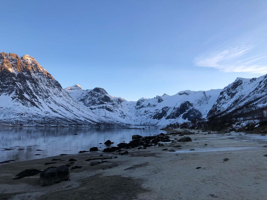 Tromsø: Fjords & Beaches Tour with Campfire and Arctic Food - Reindeer sausage, vegan options, and the famous chai