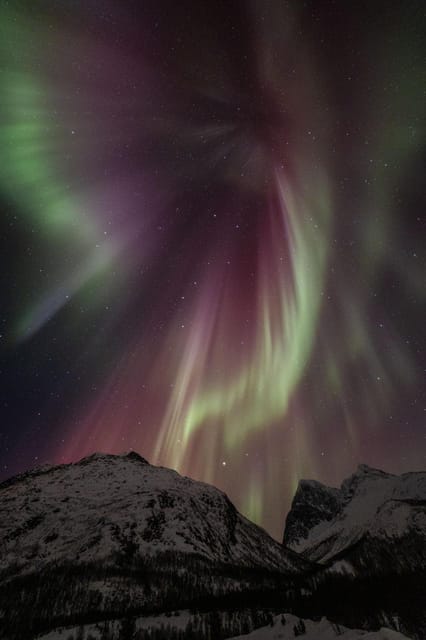 Tromsø: Fjords & Beaches Tour with Campfire and Arctic Food - Wildlife spotting without false promises