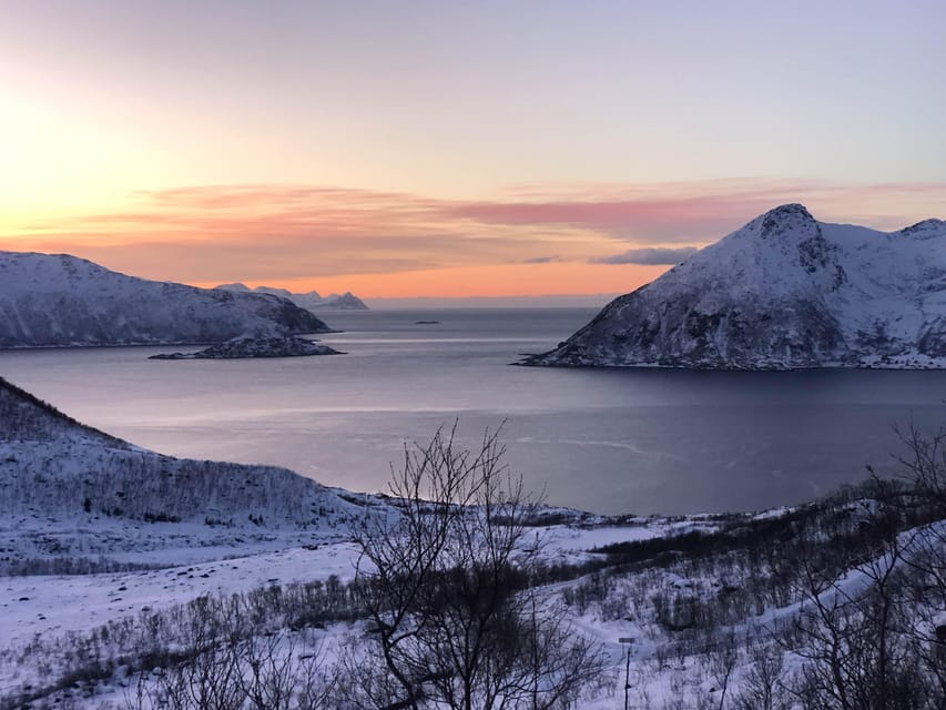 Tromsø: Fjords & Beaches Tour with Campfire and Arctic Food - Who will enjoy this Tromsø outing most
