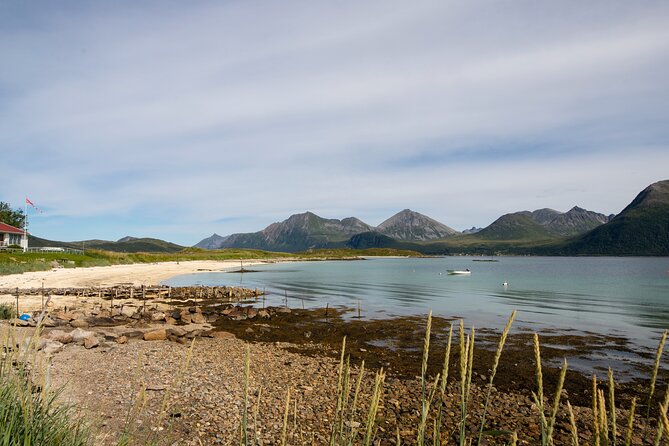 Tromso fjords road trip with fire in grill cabin by the beach. - What the $137.07 price gives you