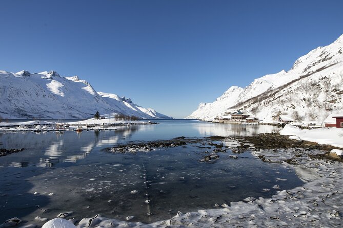 Tromso fjords road trip with fire in grill cabin by the beach. - Who should book this fjord road trip?