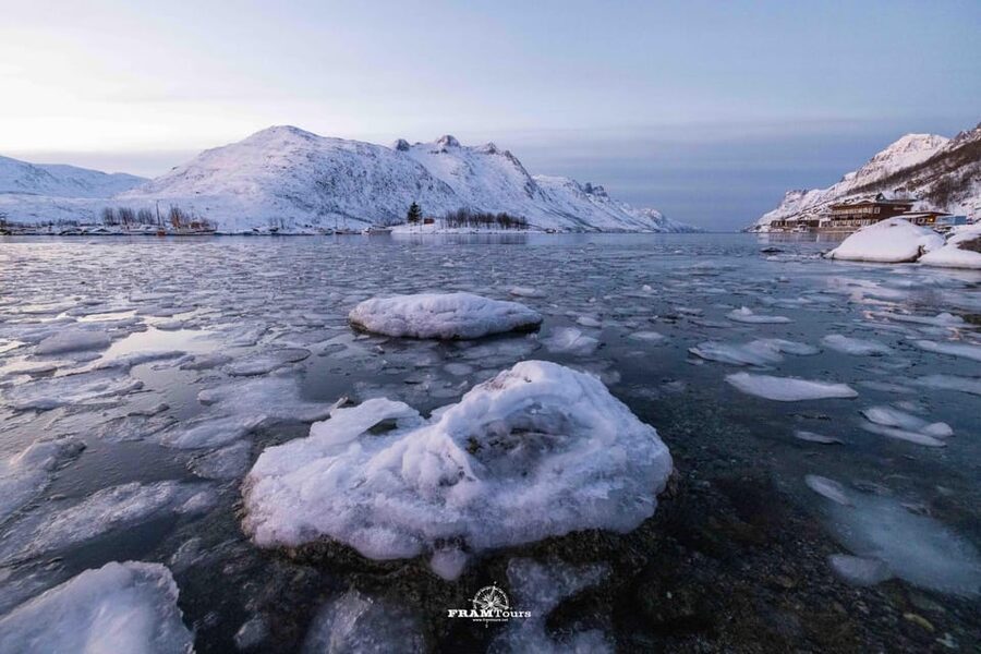 Tromso: Guided Fjord Expedition in Kvaløya with Light Lunch - Key points to know before you book
