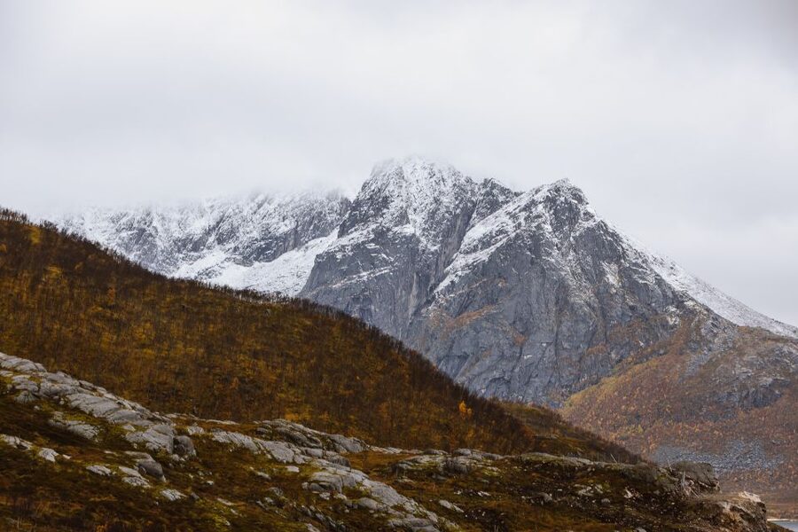 Tromso: Guided Fjord Expedition in Kvaløya with Light Lunch - Is $146 a fair price?