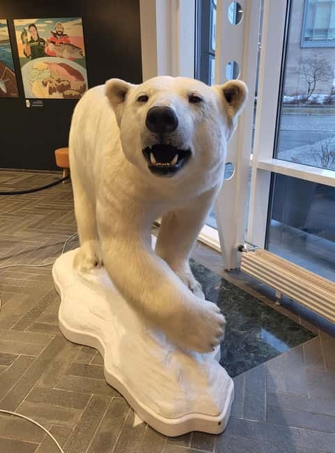 Tromsø: Guided Polar Bear Walk incl. Polaria & Polar Museum - The guide’s role in making the stories work