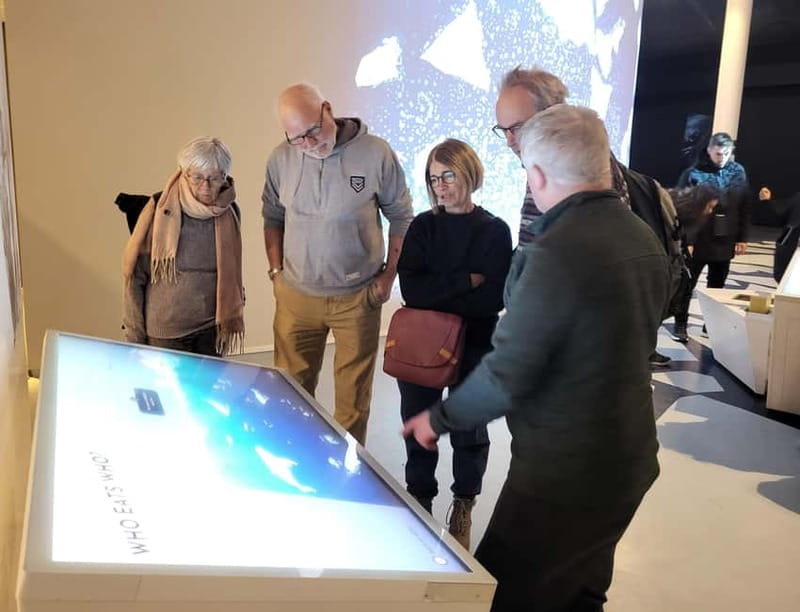 Tromsø: Guided Polar Bear Walk incl. Polaria & Polar Museum - Starting at Tromsø Cathedral