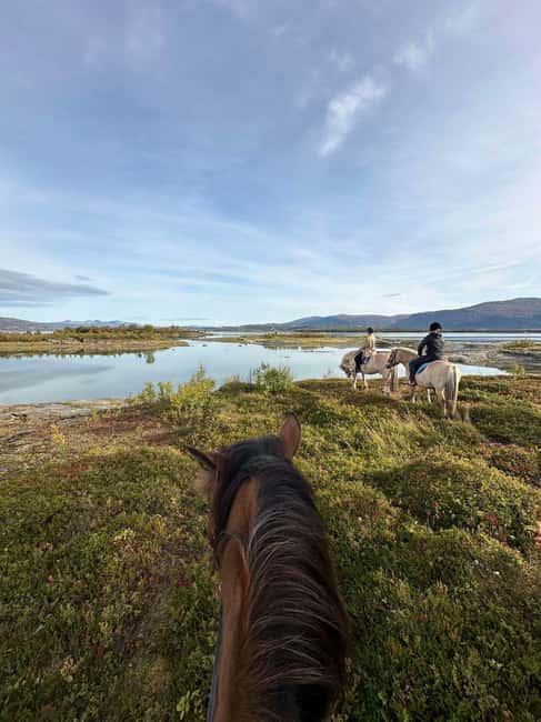 Tromsø: Horseback Riding Tour - Grooming and Saddling Before the Ride