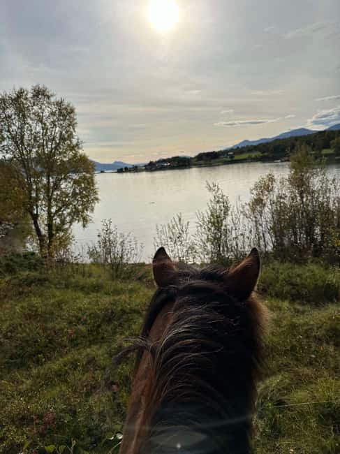 Tromsø: Horseback Riding Tour - Winter Clothing and Comfort