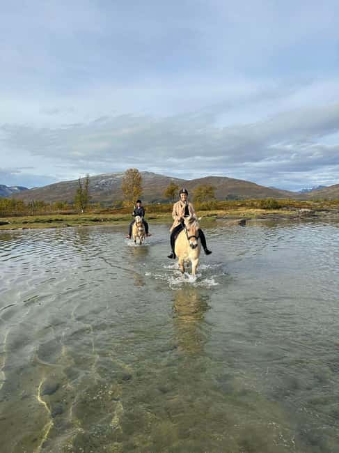 Tromsø: Horseback Riding Tour - Getting to Marisletta Gård