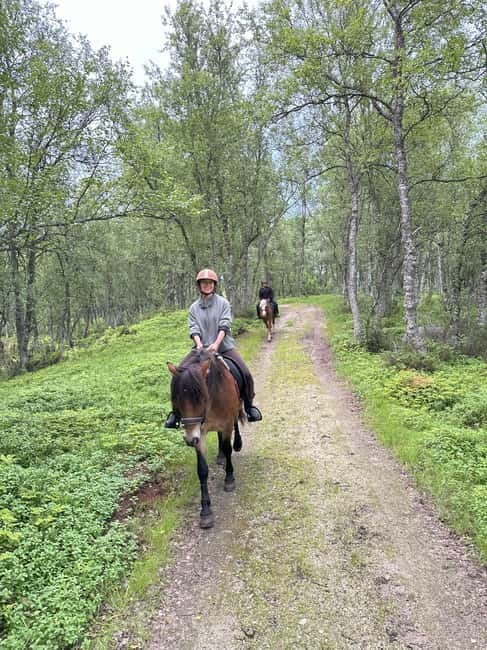 Tromsø: Horseback Riding Tour - Final Decision: Book It for the Horses and Setting