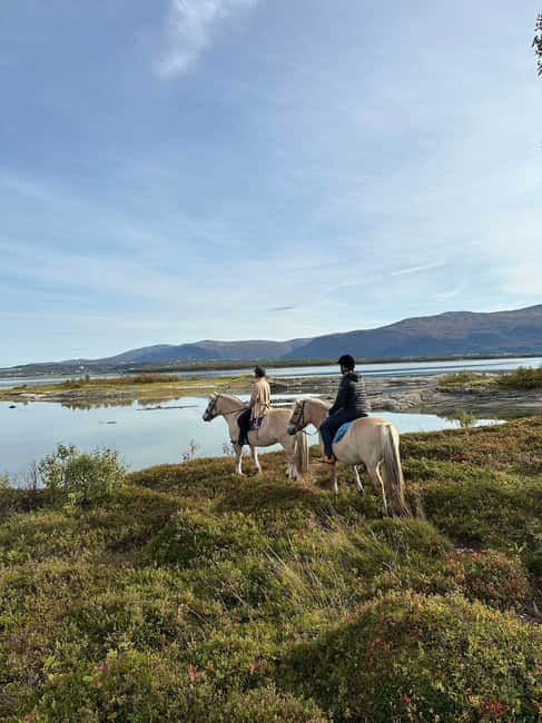 Tromsø: Horseback Riding Tour - Riding for 60 to 75 Minutes Through Changing Scenery