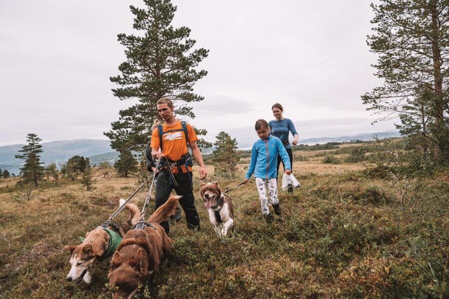 Tromsø: Husky Hike and Puppy Visit with Traditional Lunch - Why the husky hike feels different from a kennel visit