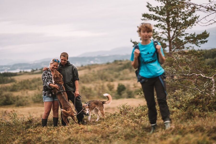 Tromsø: Husky Hike and Puppy Visit with Traditional Lunch - Puppy time, with the cute factor turned up