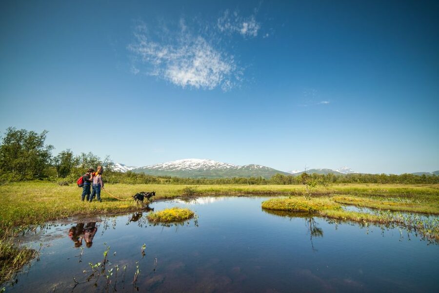 Tromsø: Husky Hike and Puppy Visit with Traditional Lunch - Who should book this Tromsø activity?