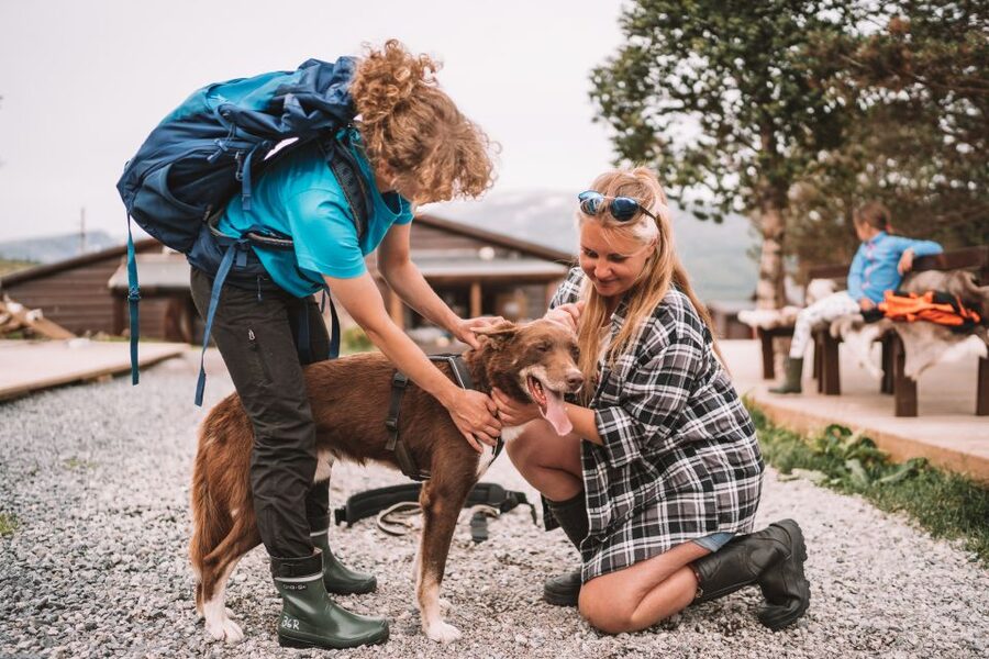 Tromsø: Husky Hike and Puppy Visit with Traditional Lunch - Booking details that matter before you go