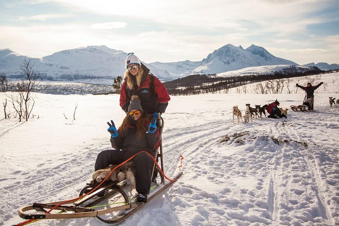 Tromso Husky Self-Drive Sledding with Cake and Drink in Lavvu - From Tromsø to the husky kennel