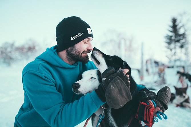 Tromso Husky Self-Drive Sledding with Cake and Drink in Lavvu - Seventy to eighty minutes across Arctic scenery