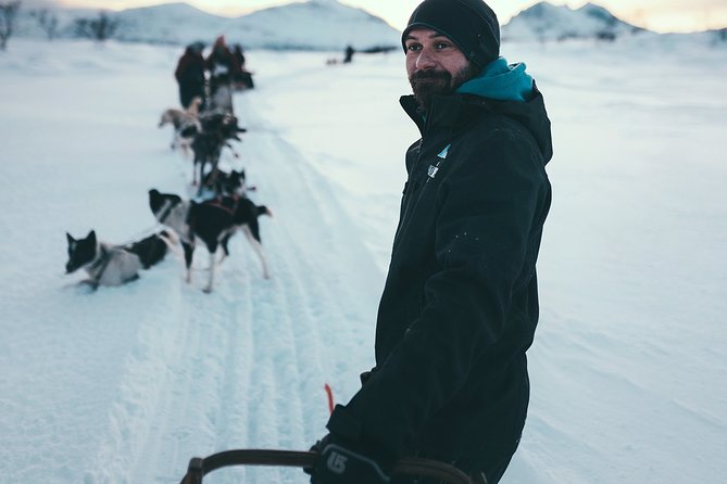 Tromso Husky Self-Drive Sledding with Cake and Drink in Lavvu - Cake, hot chocolate, and dog stories in the lavvu