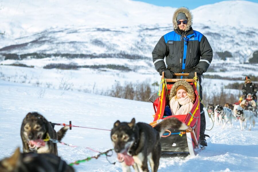 Tromsø: Husky Sled Self-Drive with Traditional Lunch - Who should book this activity?