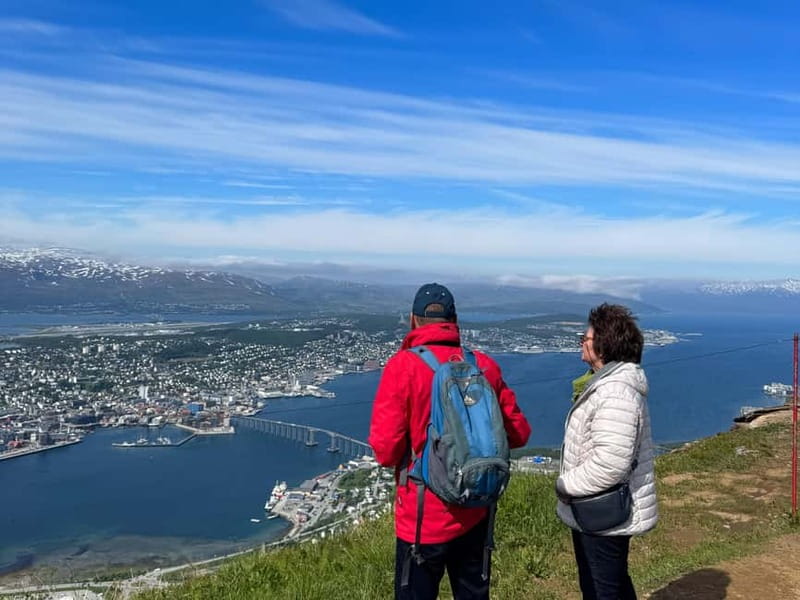 Tromsø: Island Tour & Cable Car with Tromsø Accessible Tours - Who should book this four-hour route?