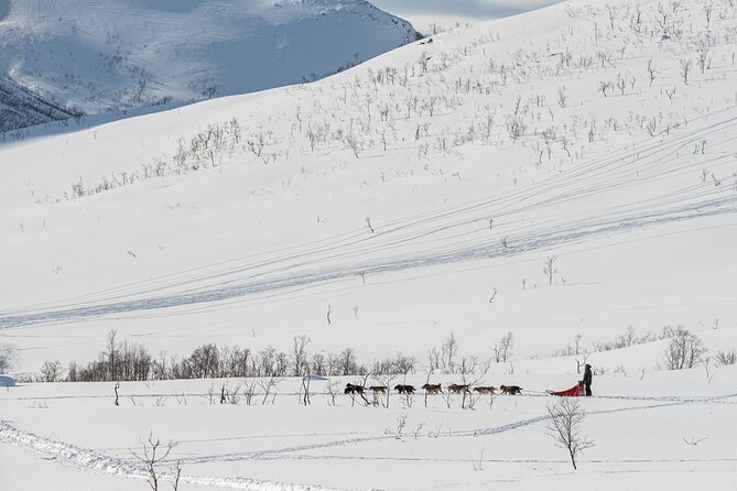 Tromsø: Kvaløya & Sommarøy Guided Fjord Tour with Lunch - Why Arctic weather matters more than the forecast