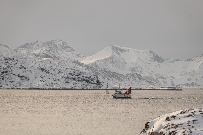 Tromsø: Kvaløya & Sommarøy Guided Fjord Tour with Lunch - Is $181.50 fair for this outing?