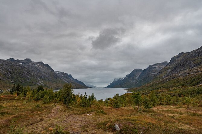 Tromsø: Kvaløya & Sommarøy Guided Fjord Tour with Lunch - Who should choose this Sommarøy tour?