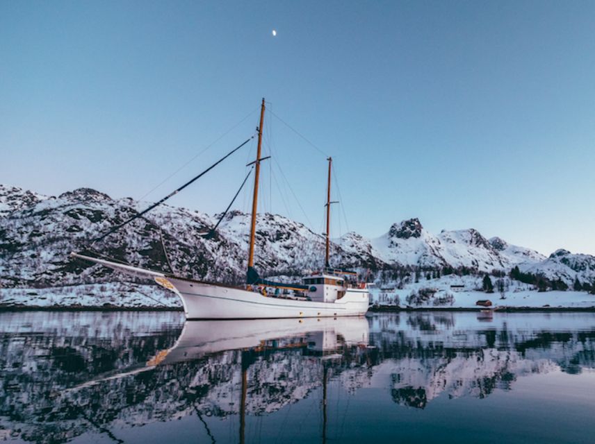 Tromso: Luxury Northern Lights Cruise with Hot Tub & Dinner - The practical details that matter