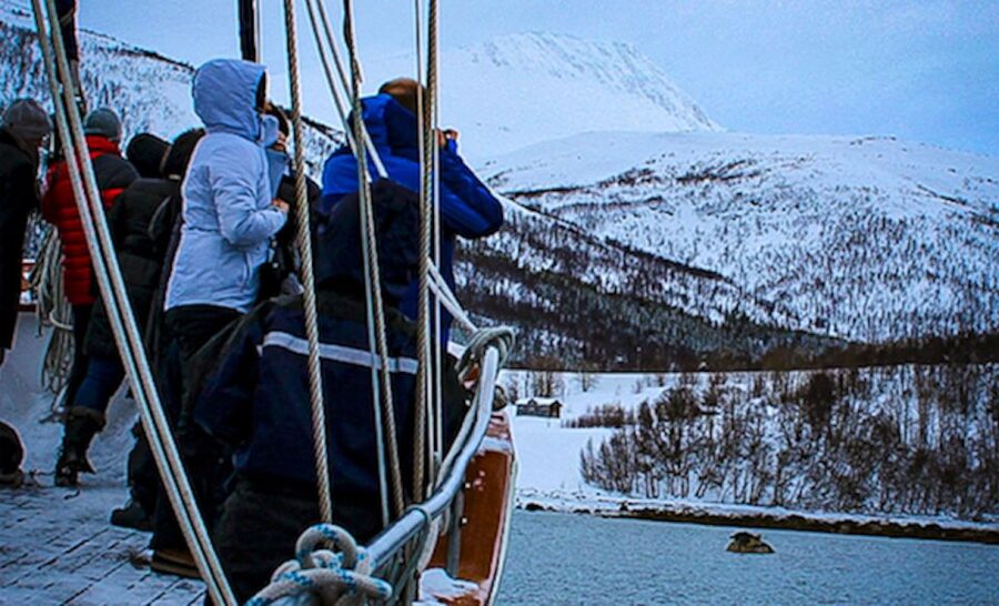 Tromsø: Luxury Polar Fjord Cruise w/ Hot Tub & Polar Plunge - Who should book this cruise?