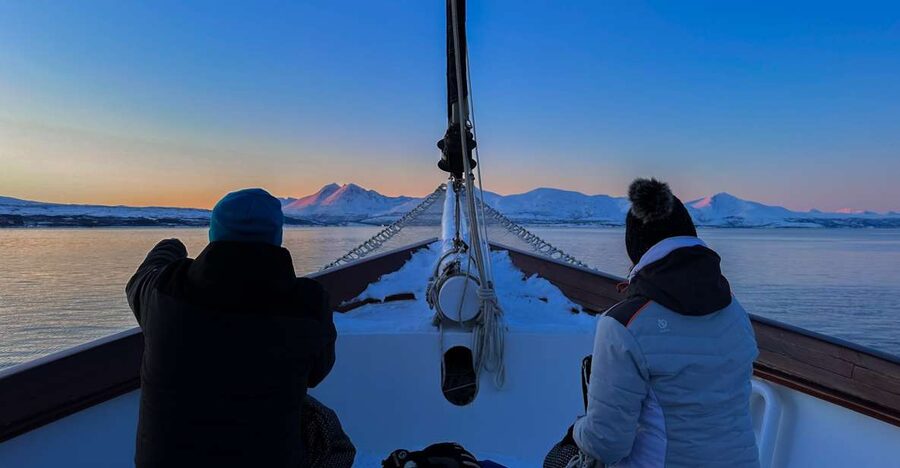 Tromsø: Luxury Polar Fjord Cruise w/ Hot Tub & Polar Plunge - A luxury yacht, not a standard fjord shuttle