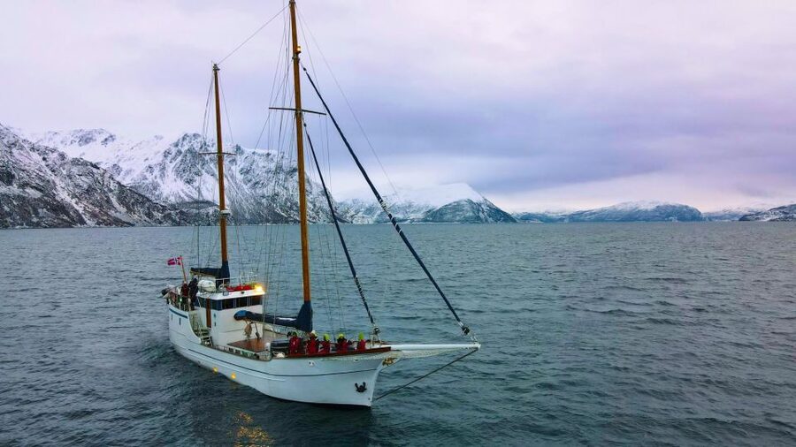 Tromsø: Luxury Polar Fjord Cruise w/ Hot Tub & Polar Plunge - Choosing between the outdoor decks and warm saloon
