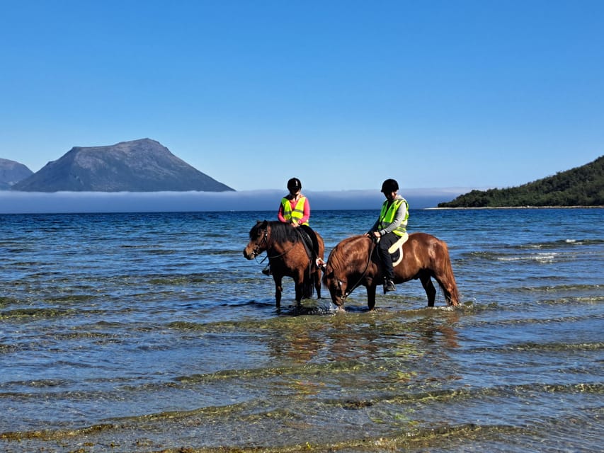 Tromsø: Lyngen Horse Summer Riding Experience - Local Stories Beside Grøtfjord