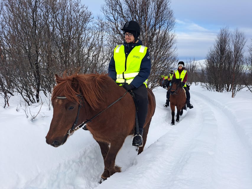 Tromsø: Lyngen Horse Winter Riding Experience - Grooming, saddling, and getting ready